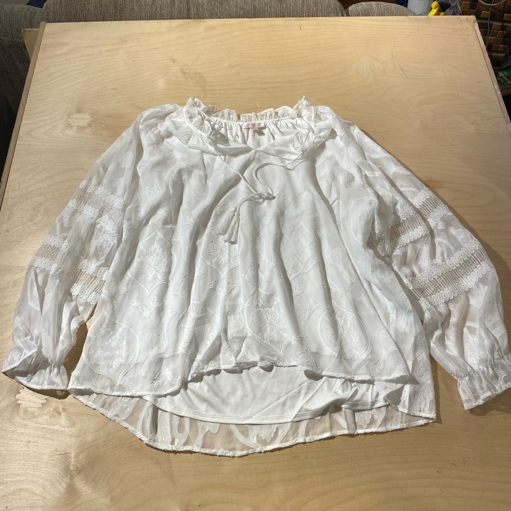 Kim Gravel Belle Blouse 3X (LF)